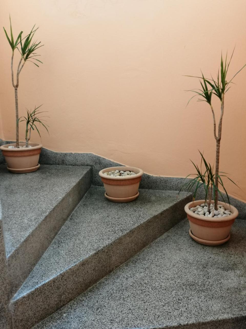 Apartment Singa Ζαντάρ Εξωτερικό φωτογραφία